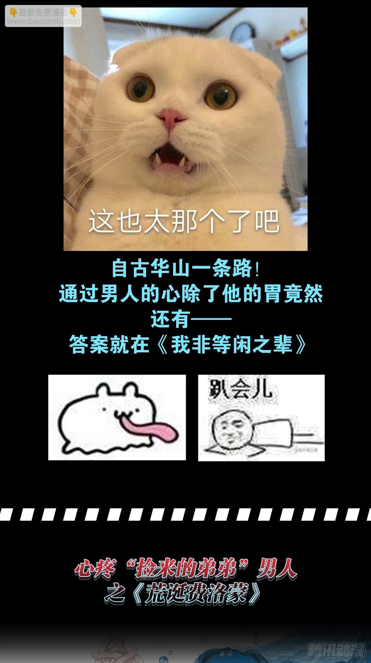特别企划-心疼男人会变得不幸