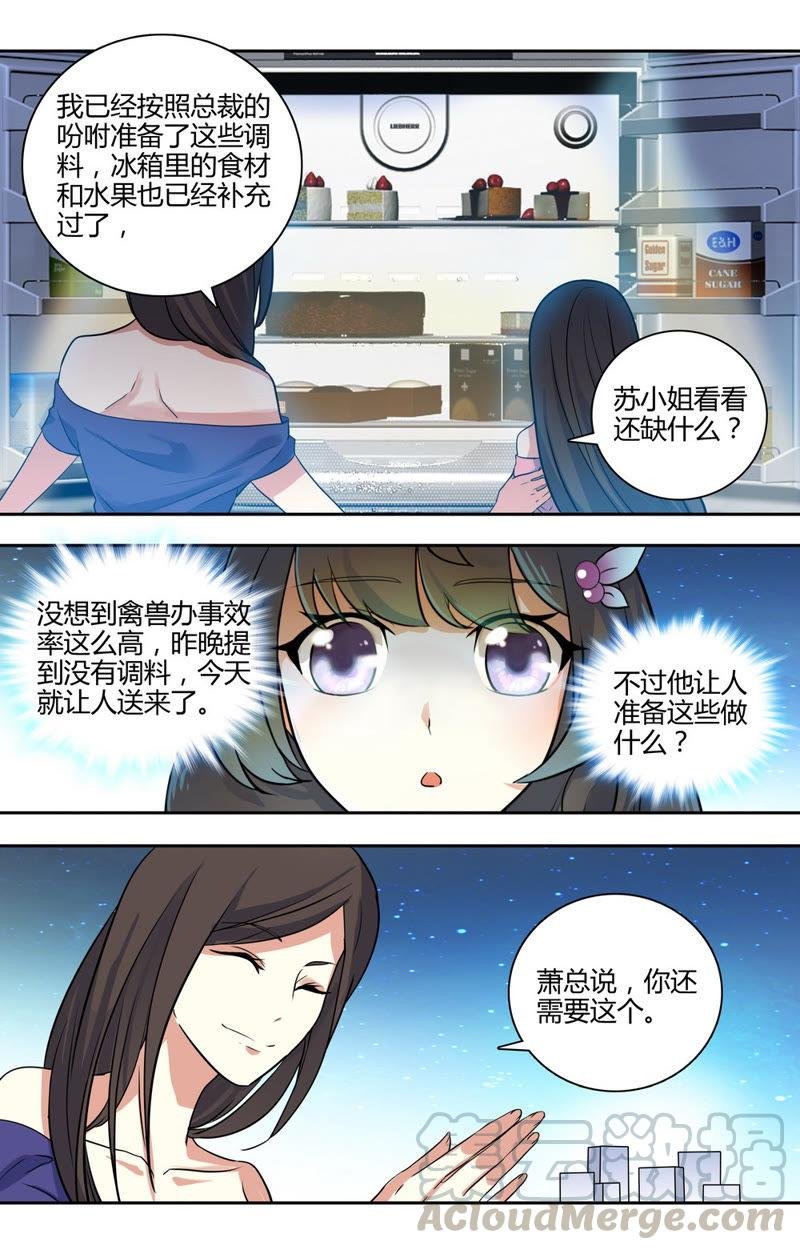 第31话 总裁的首席秘书