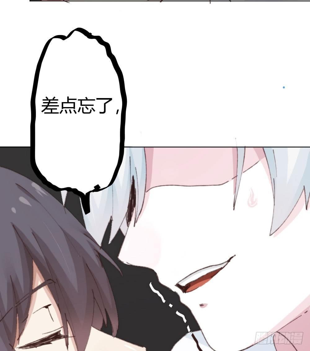 预告