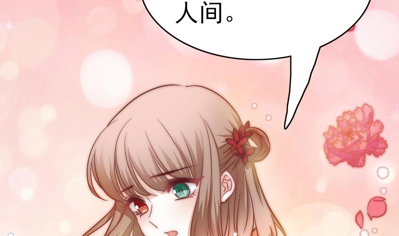 第115话 爱的继承人