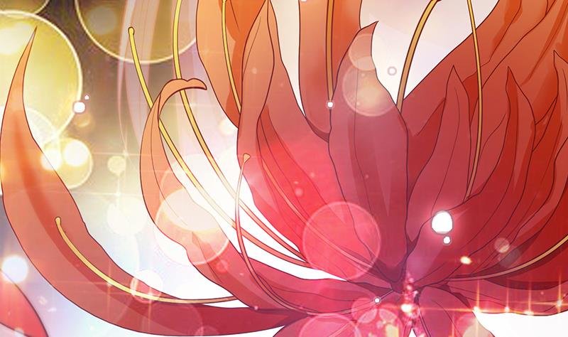 第116话 爱的解放