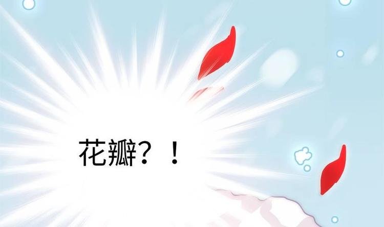 第0话 从天而降的女子