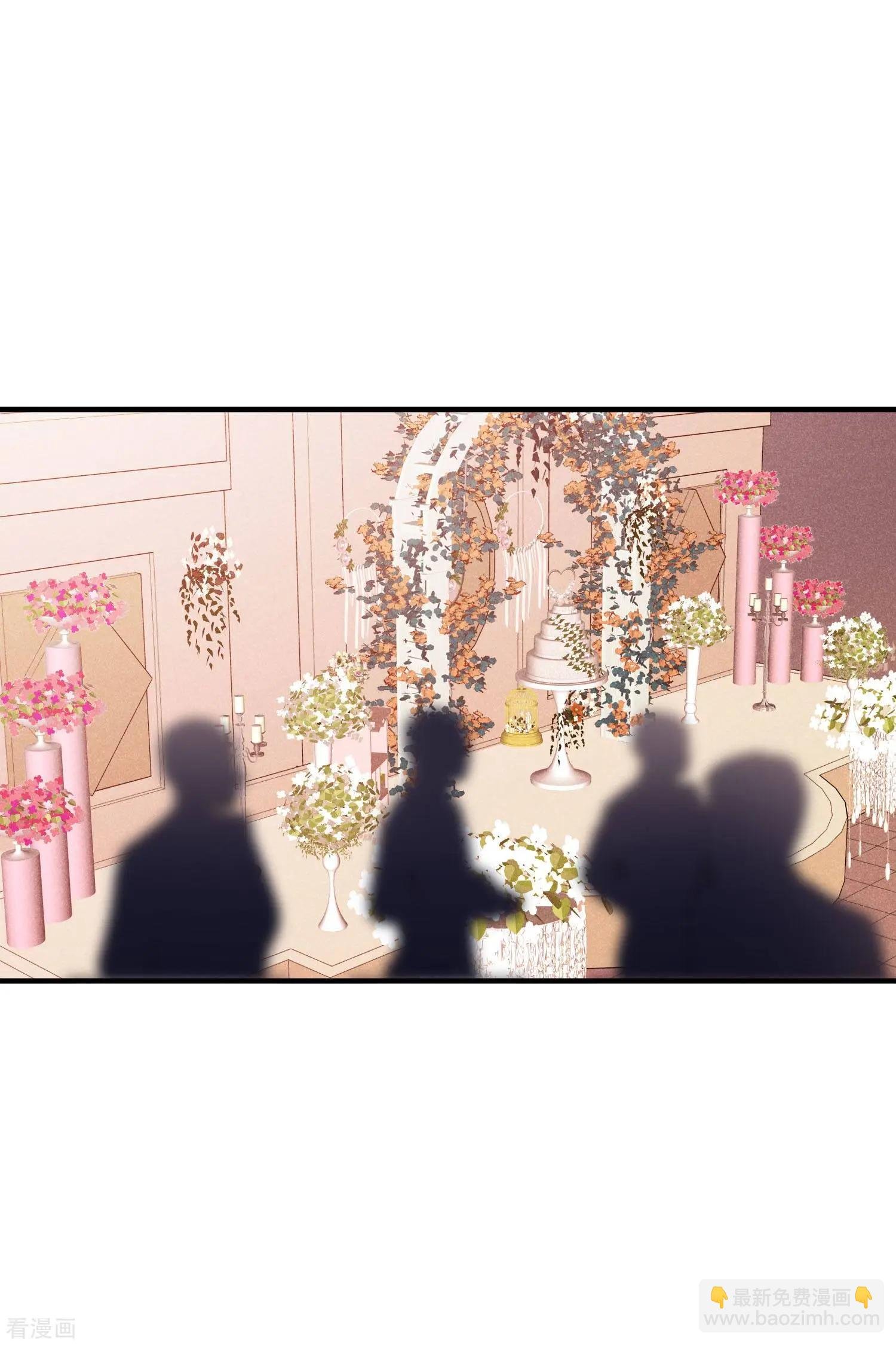 第59话1 订婚发布会