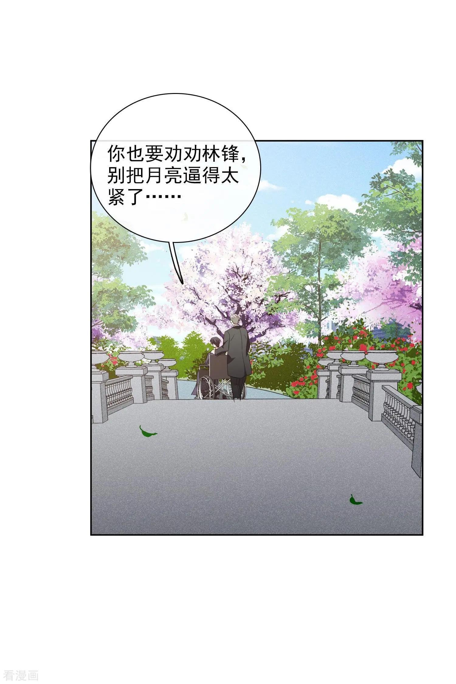 第51话1 林锋的女人