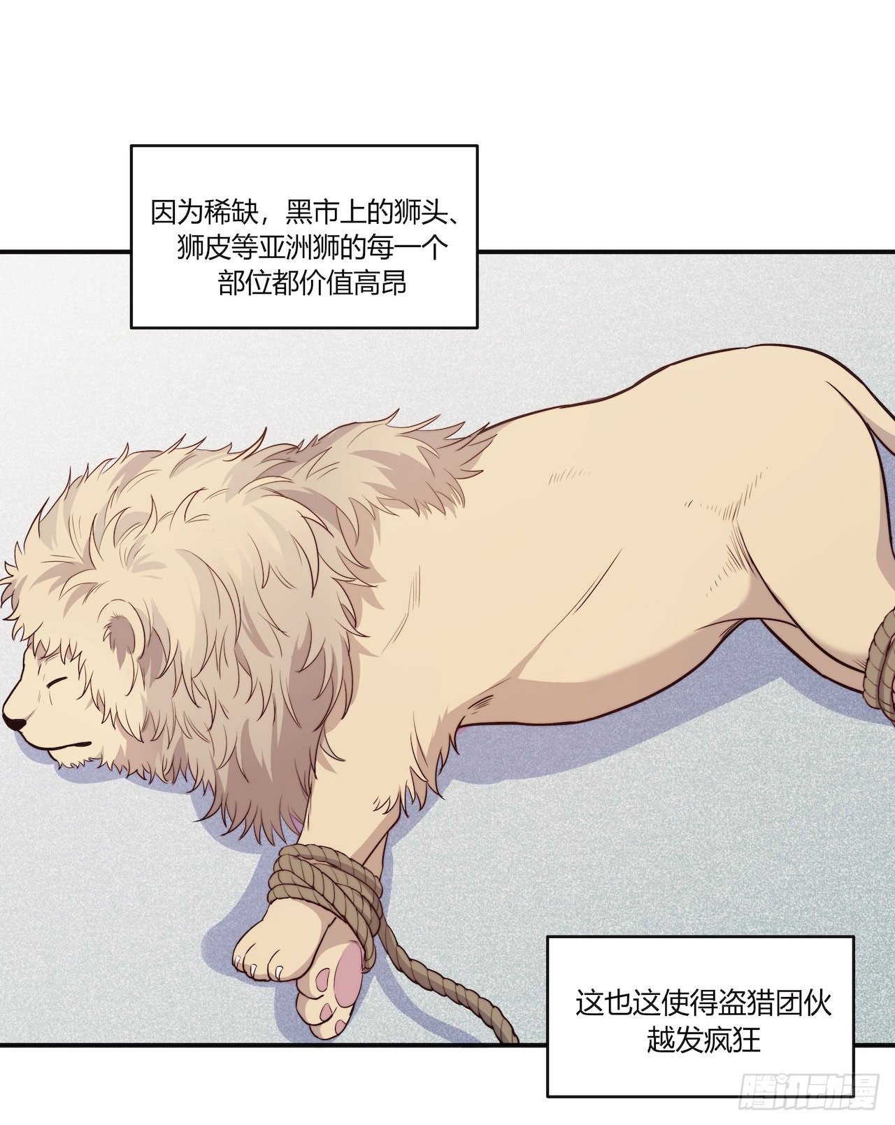 【特别篇】地球狮与外星猫2