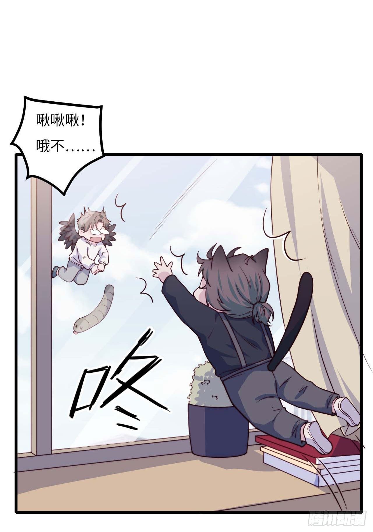 【特别篇】是乌鸫不是乌鸦1