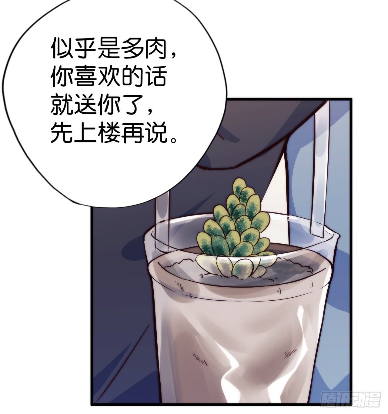 【第2话】多肉