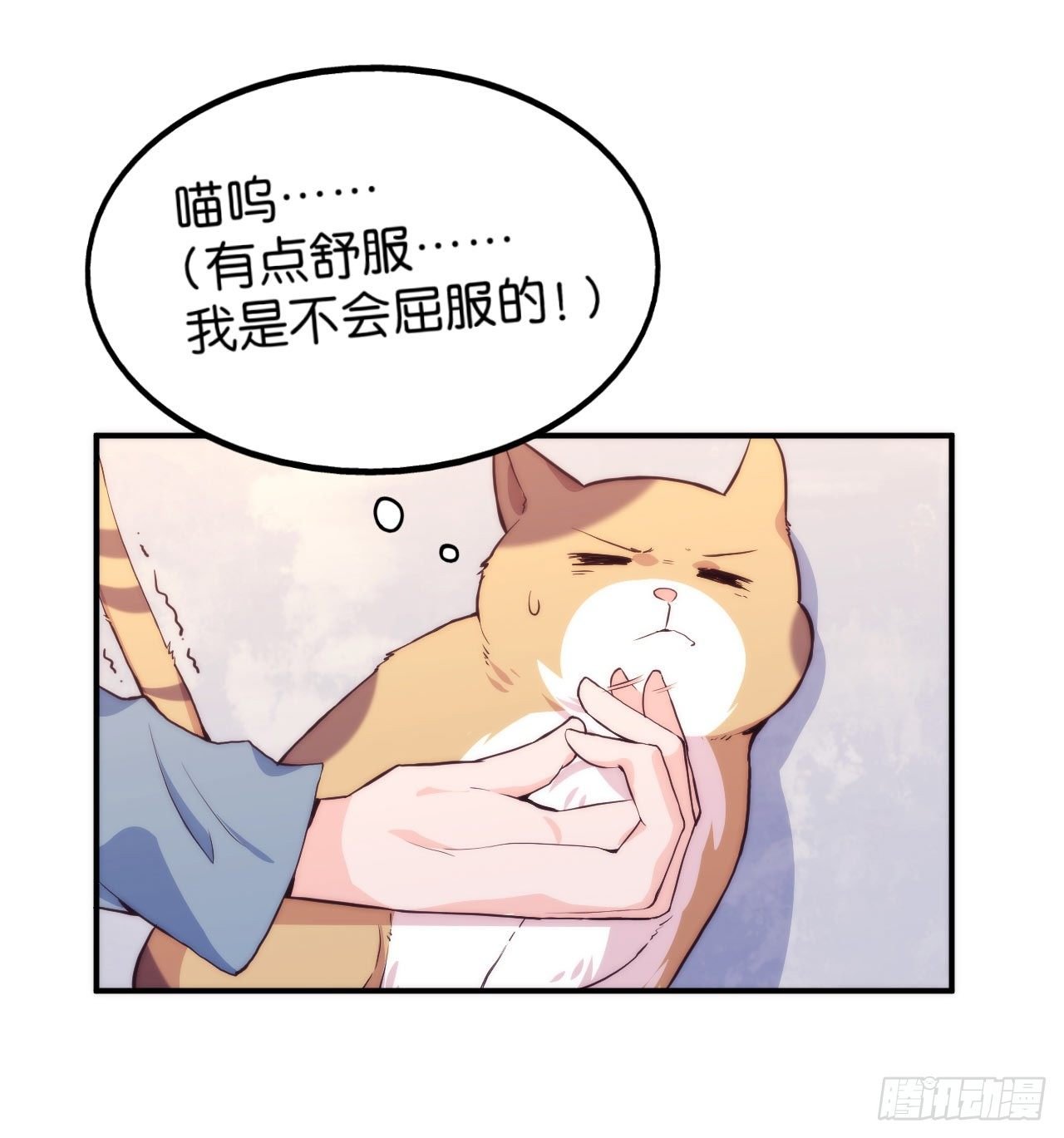 【第5话】猫的报恩