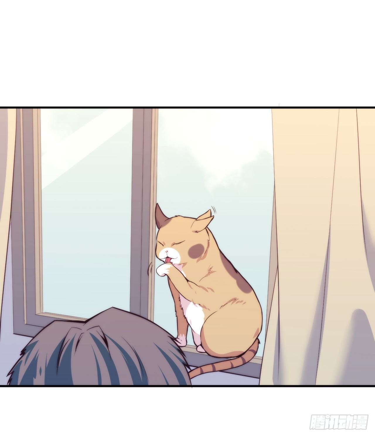 【第5话】猫的报恩