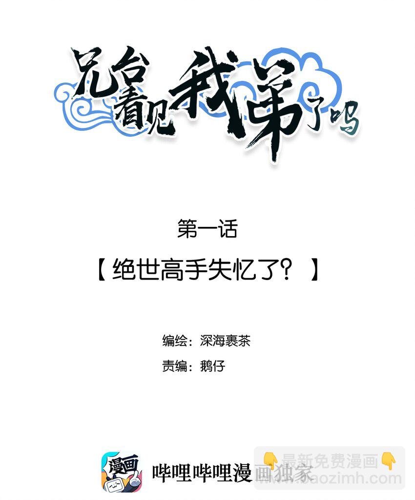 001 绝世高手失忆了？