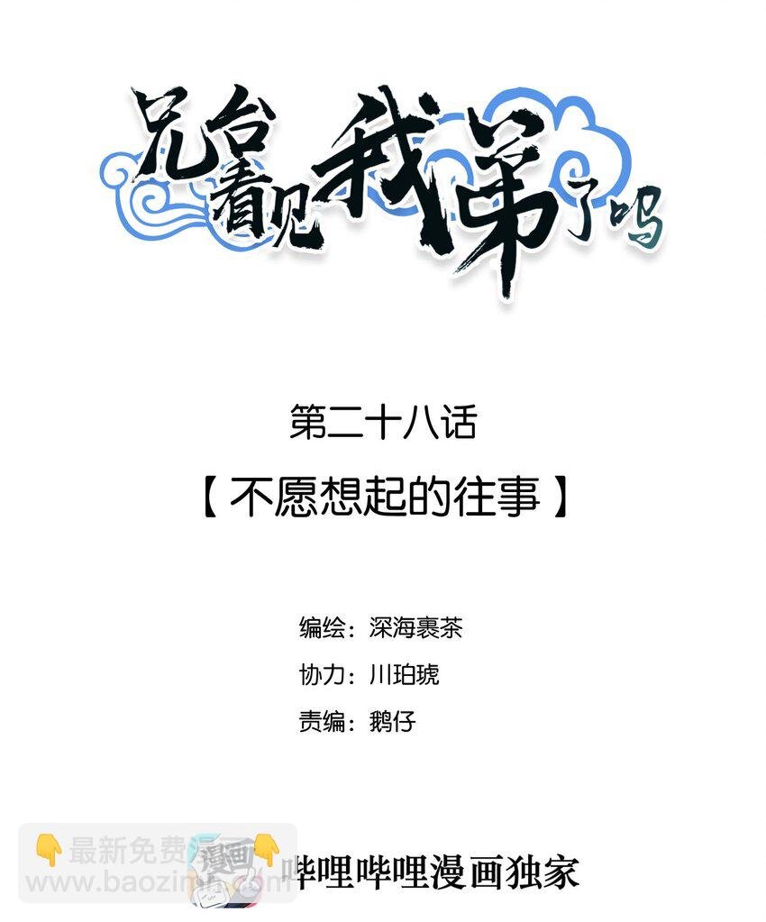028 不愿想起的往事