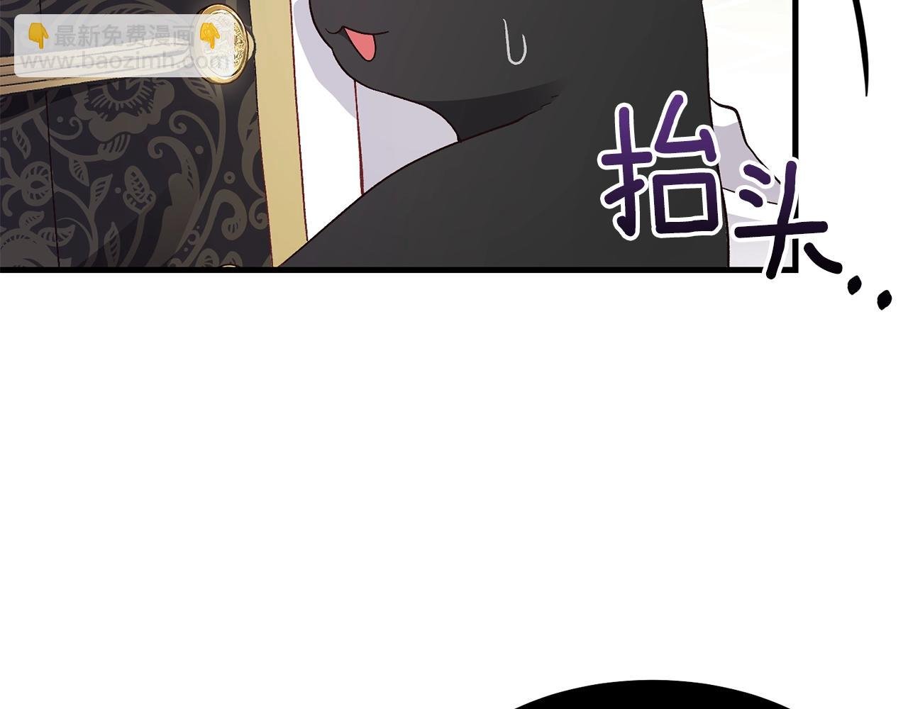 第一季完结篇 猫猫惊恐