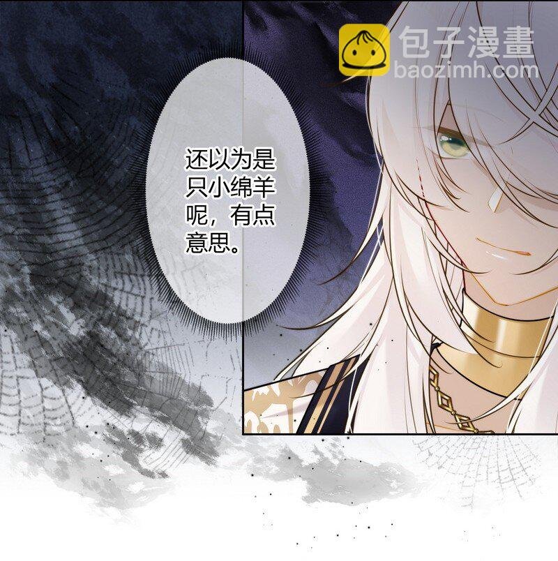 062 以为是只小绵羊