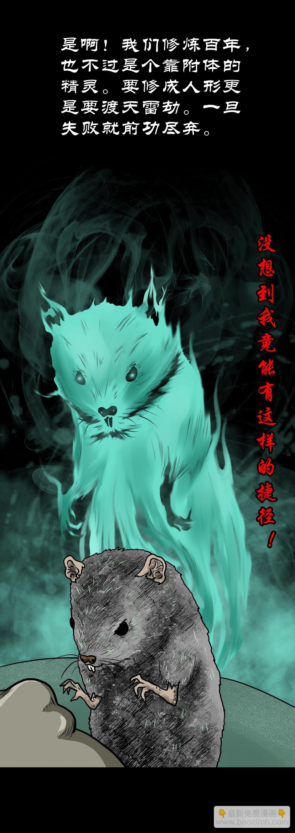 【拾肆】同仙异命