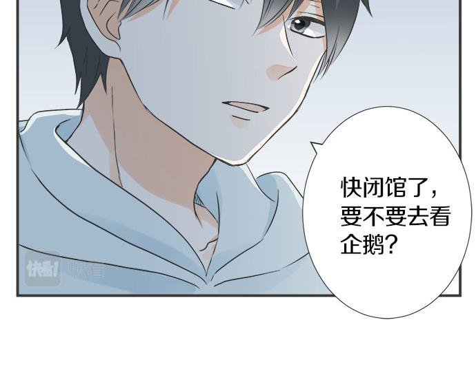 第123话 企鹅情侣