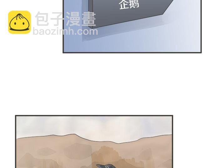 第123话 企鹅情侣