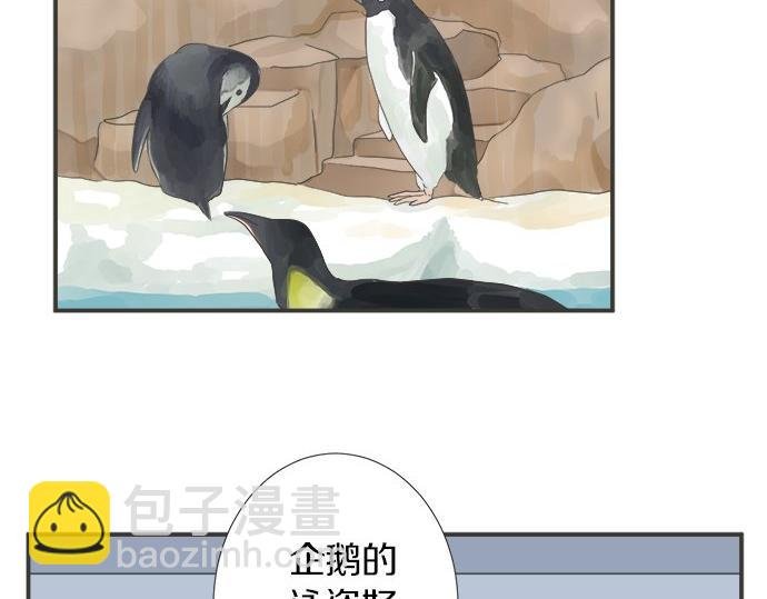 第123话 企鹅情侣