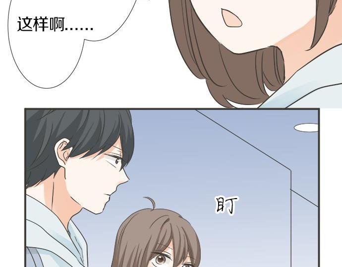 第123话 企鹅情侣