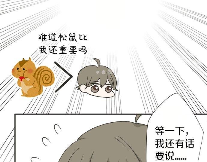 第80话 晕头转向