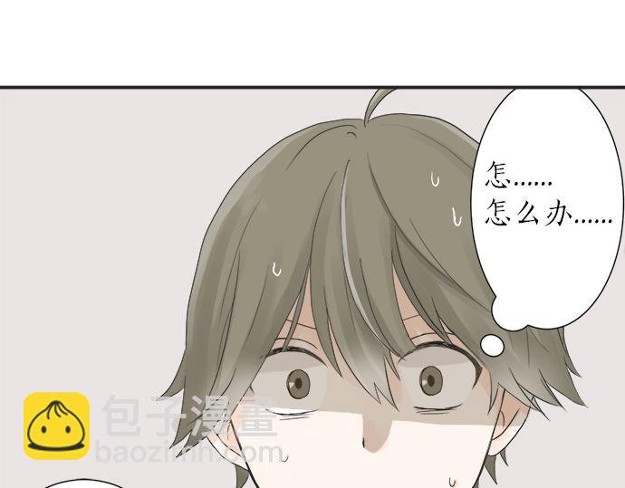 第9话 宠物店