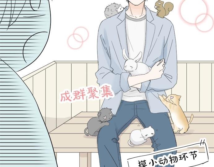 第9话 宠物店