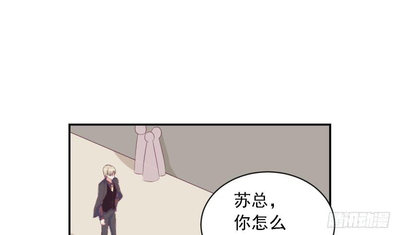 第27话 探班的总裁大人