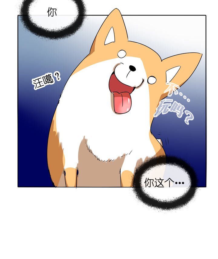 第104话