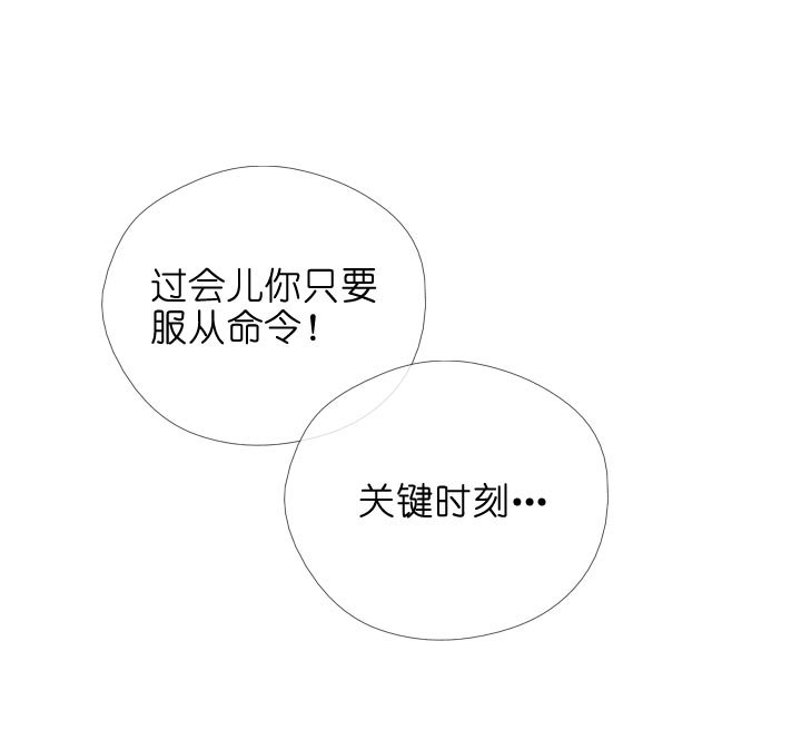 第113话