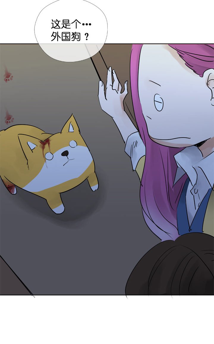 第118话