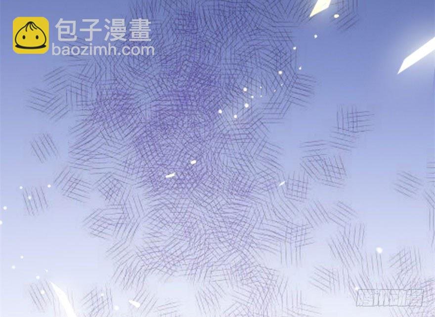 第10回 嗜血狸猫