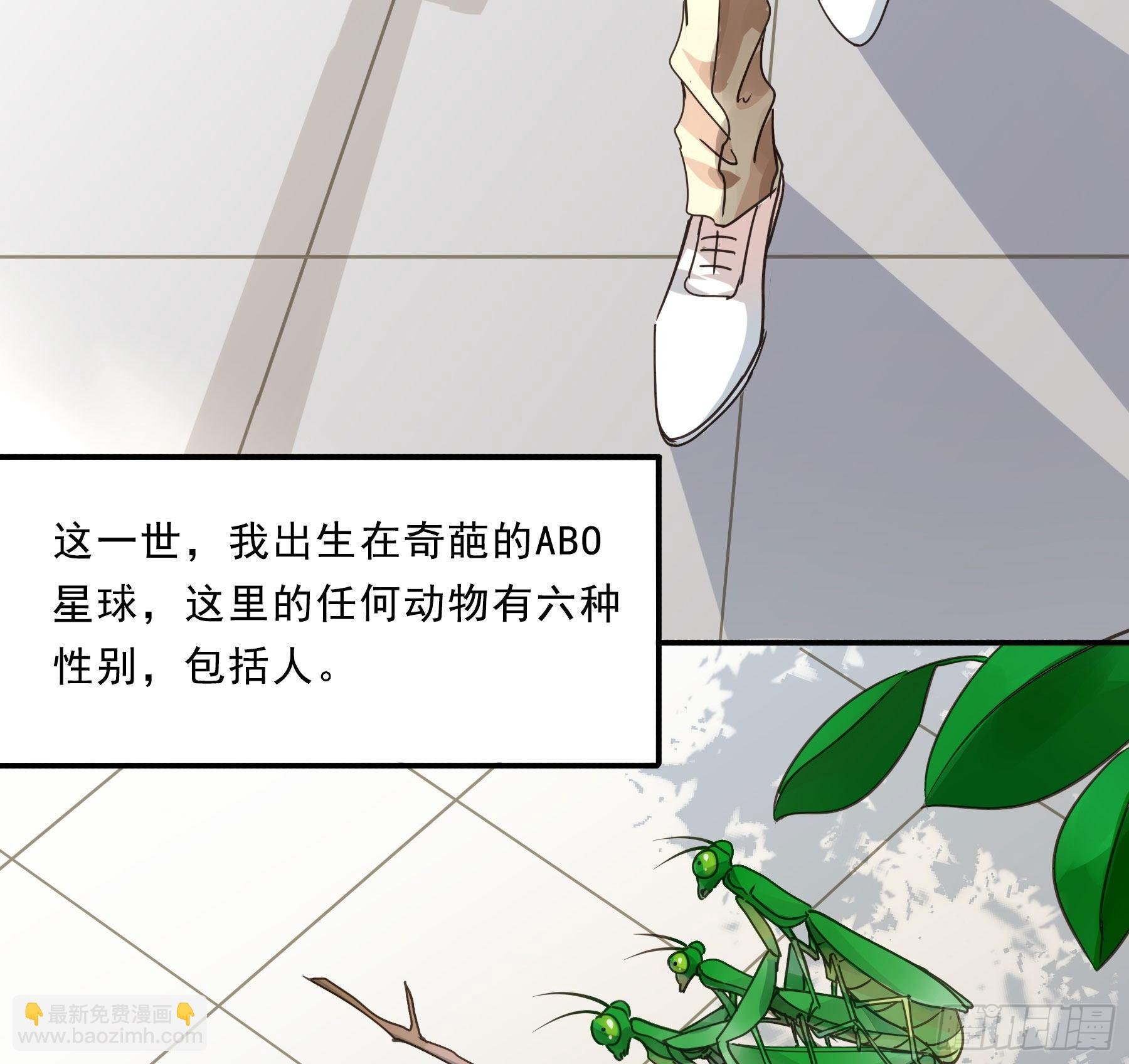 预告