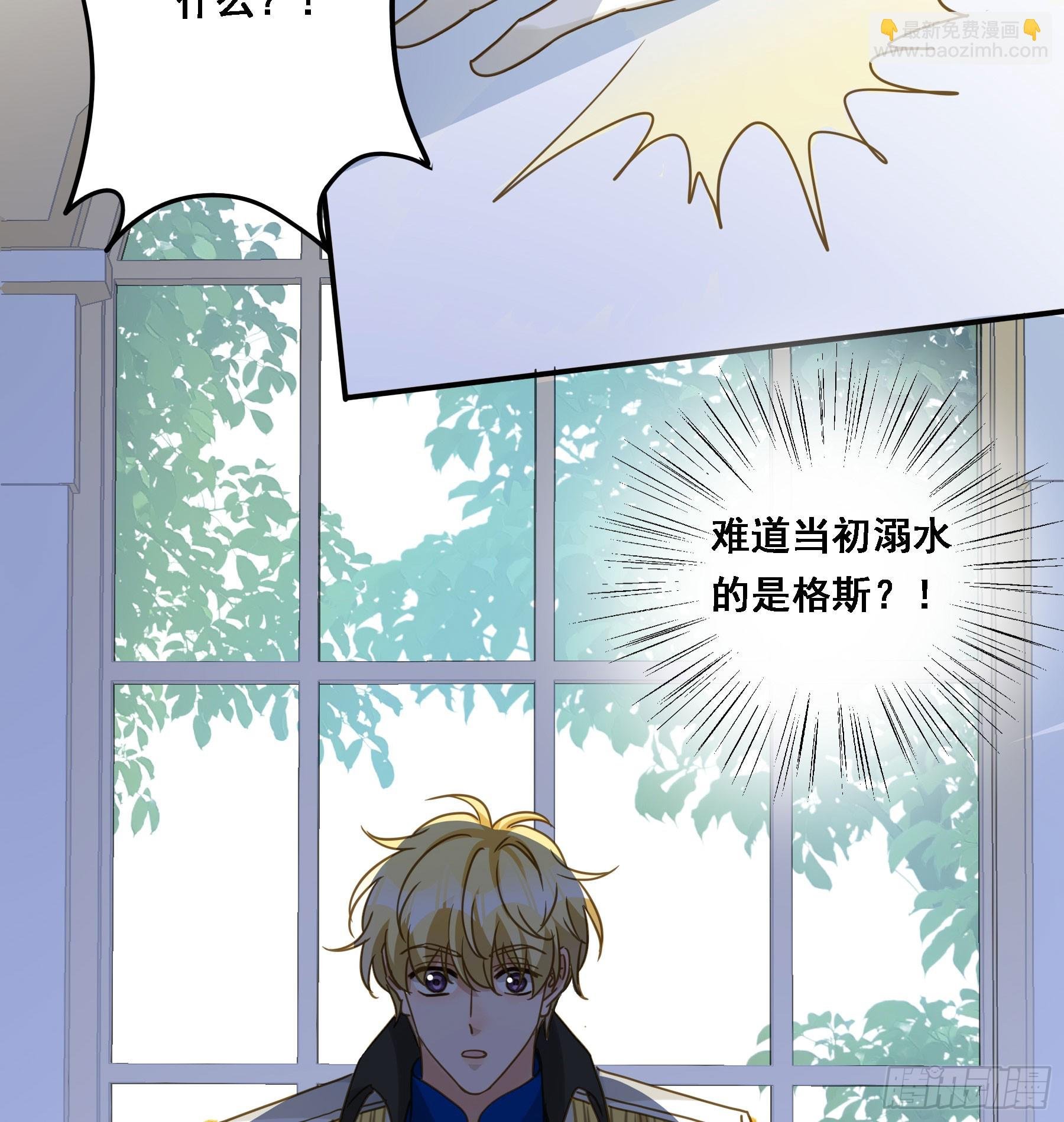 王室危机