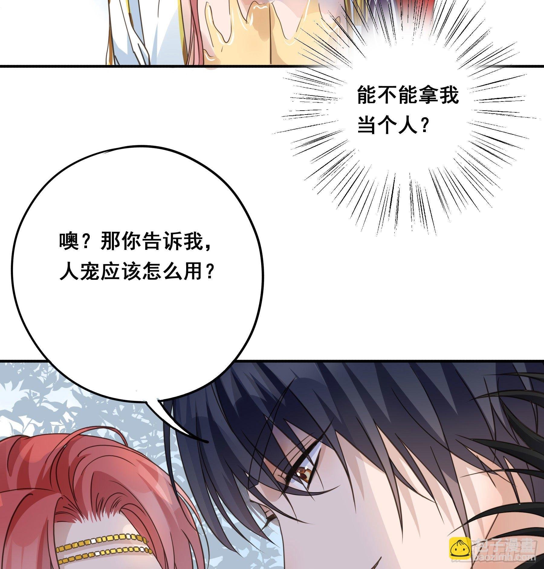 人宠的正确用法