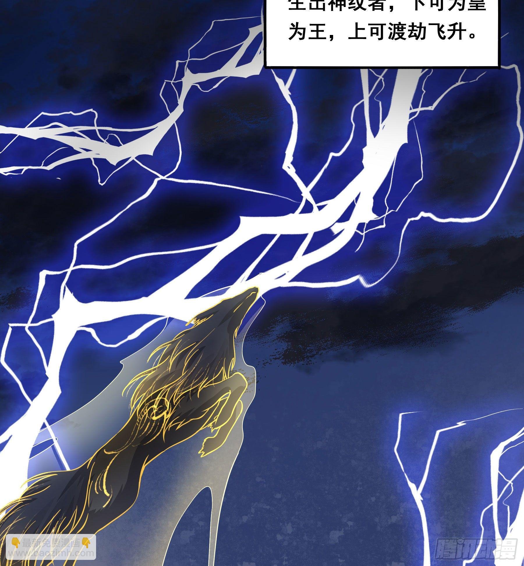 神纹荒狼