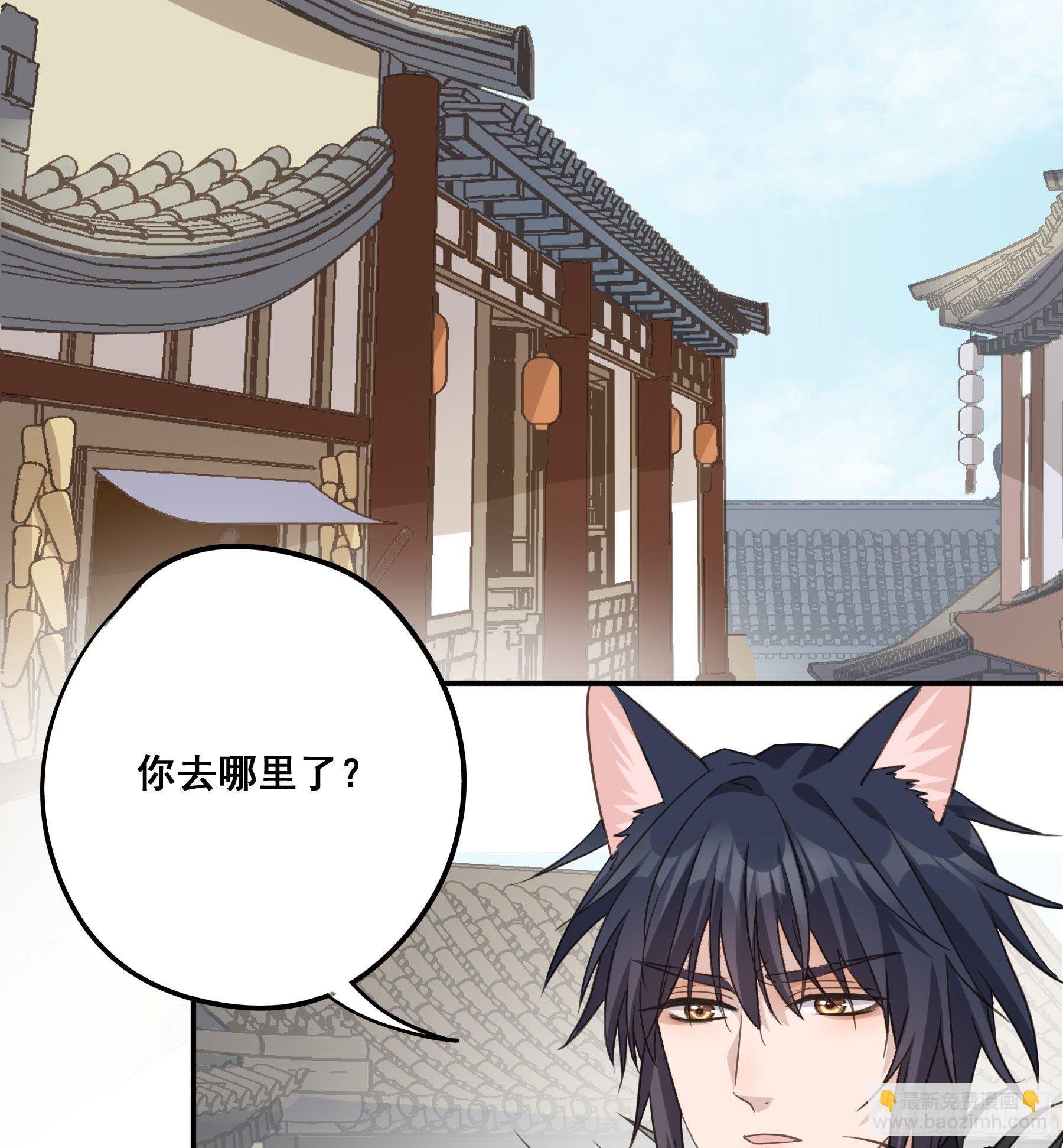 投喂