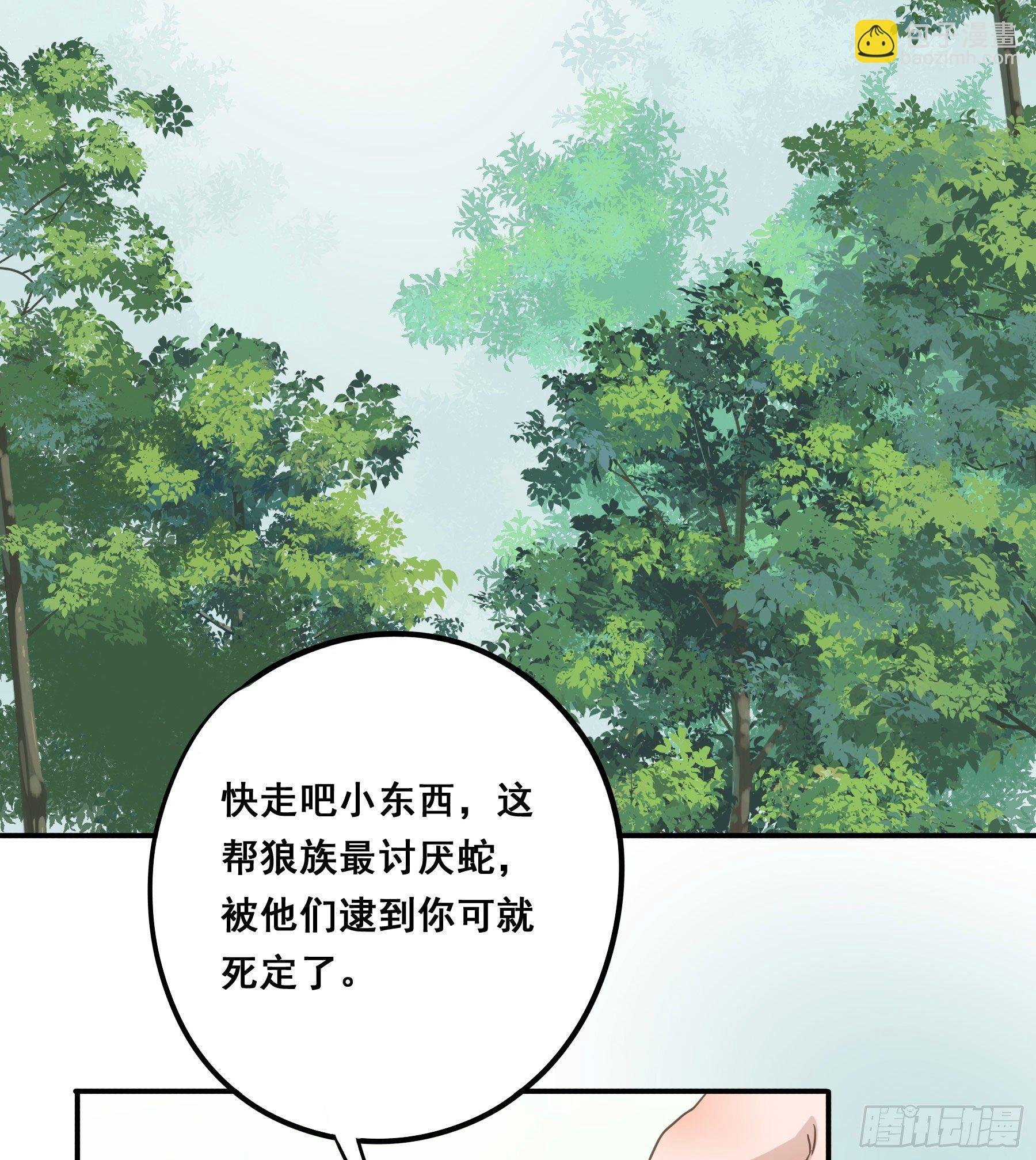 投喂