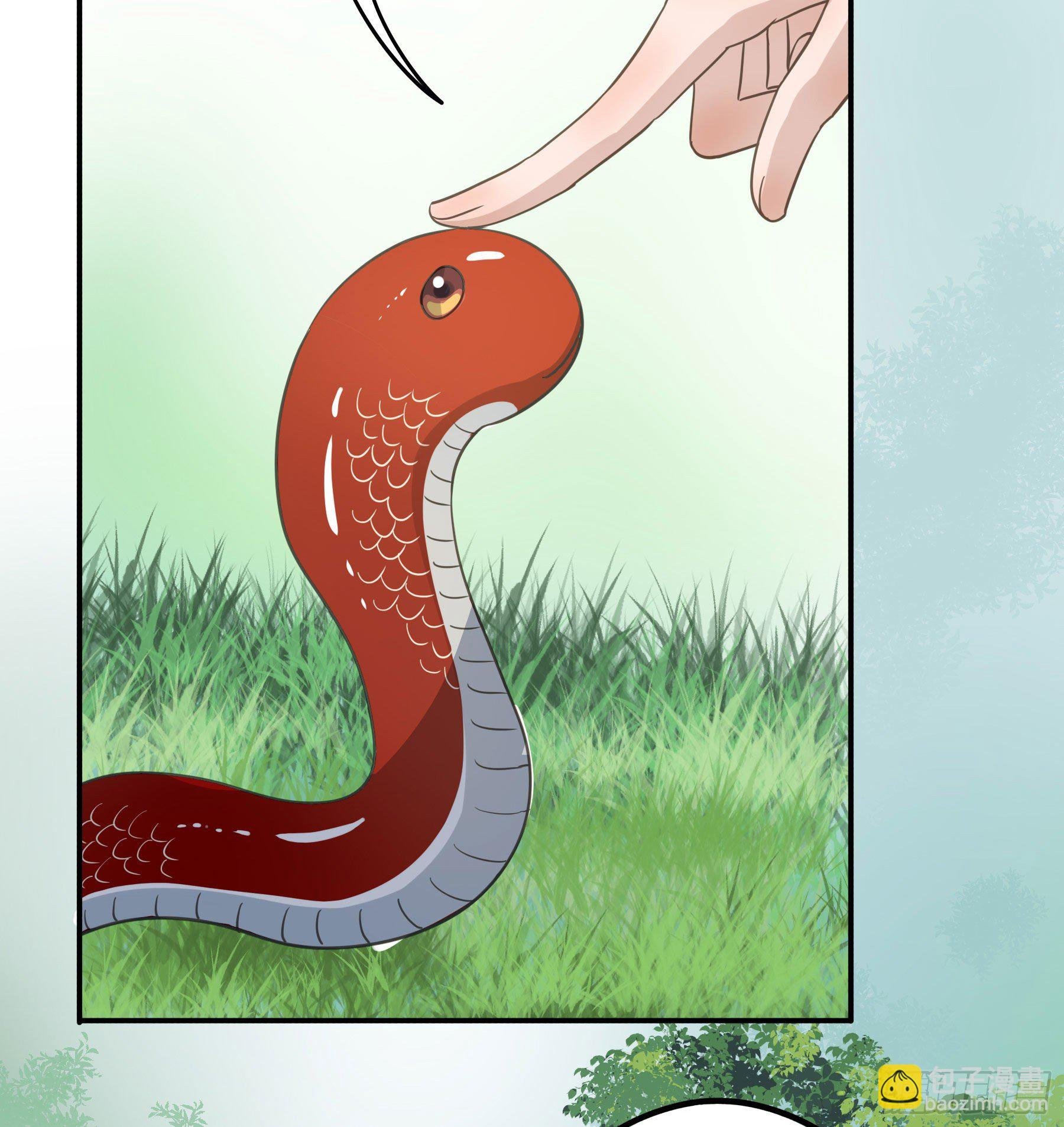 投喂