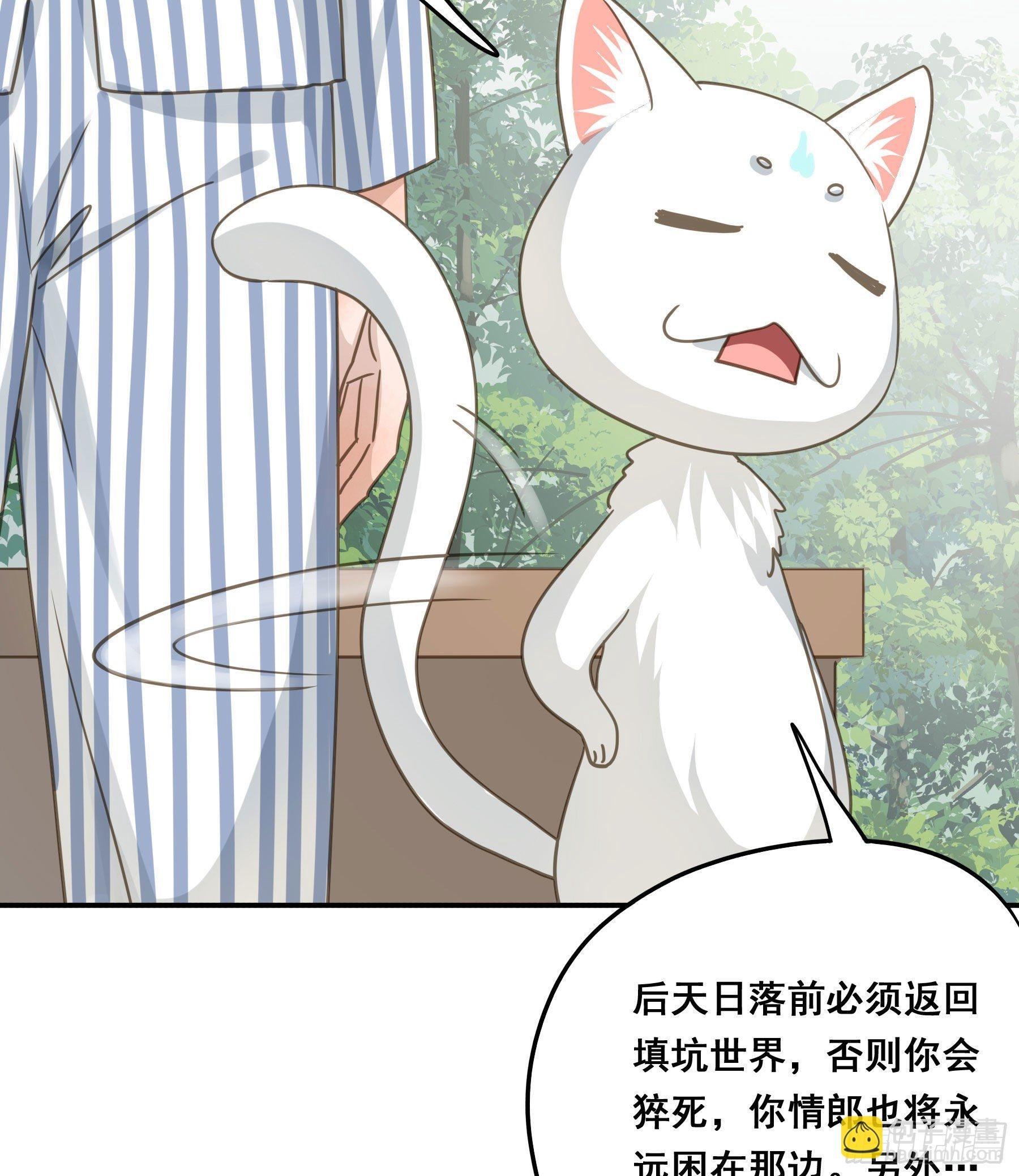 不愿回来