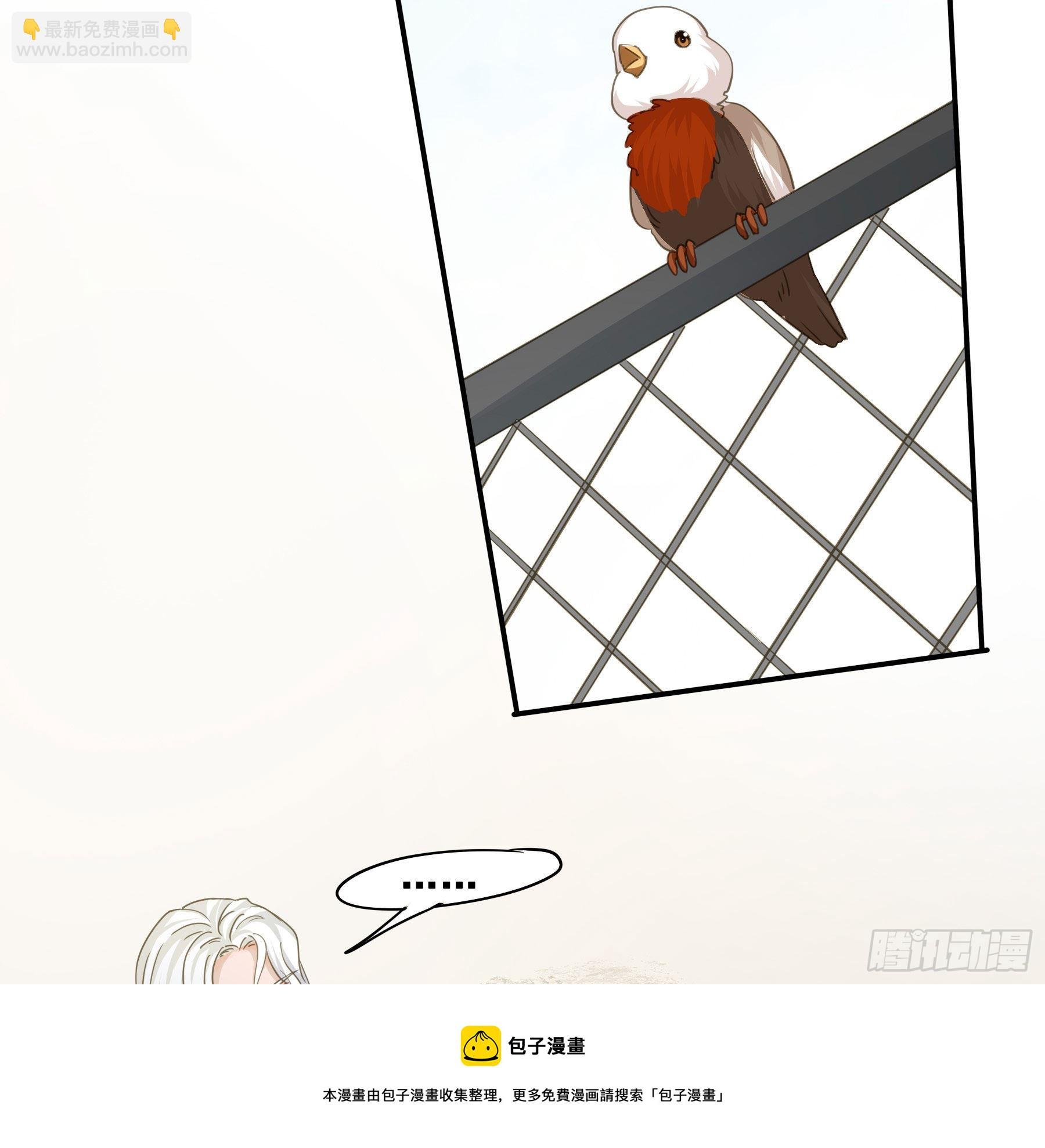 痞子英雄