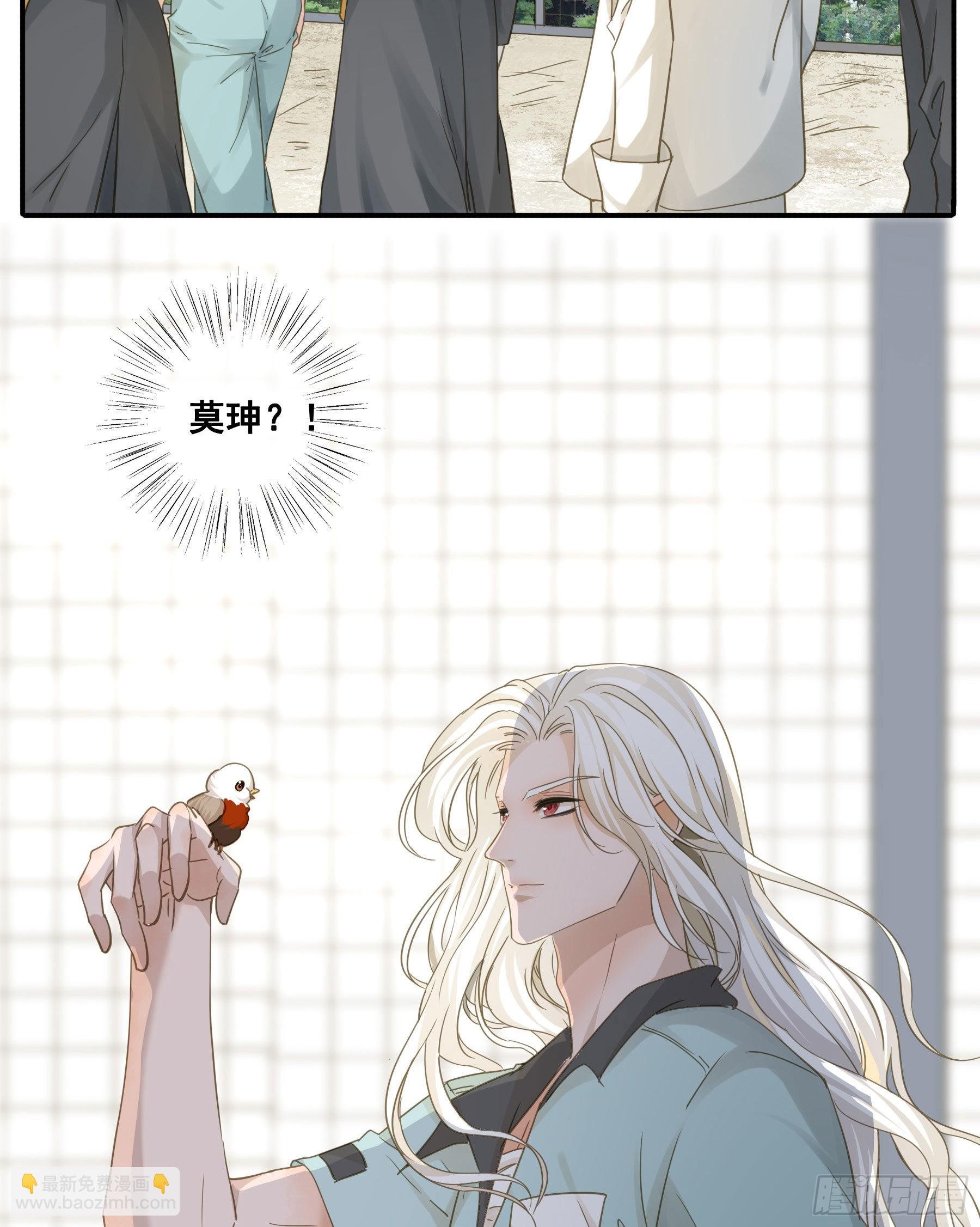 痞子英雄