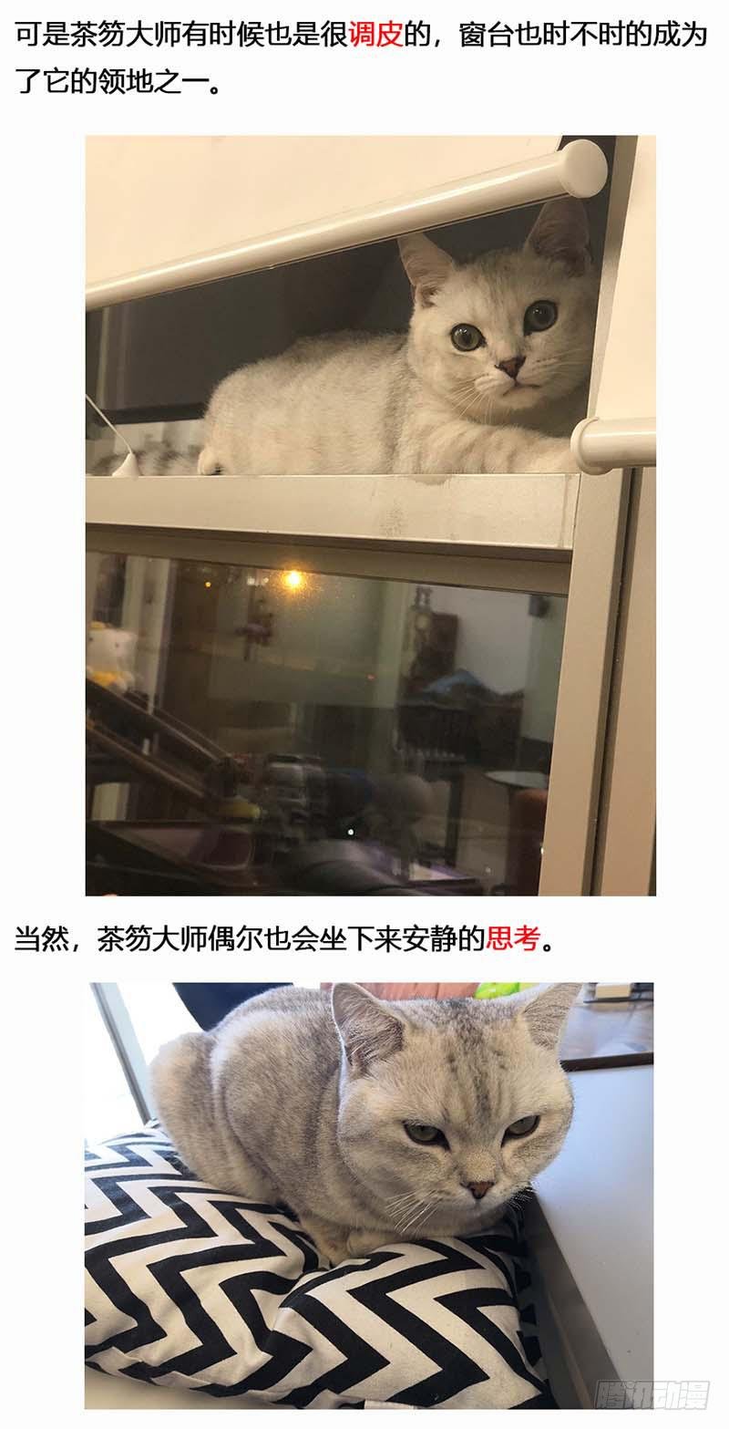 134 镜花天（中）