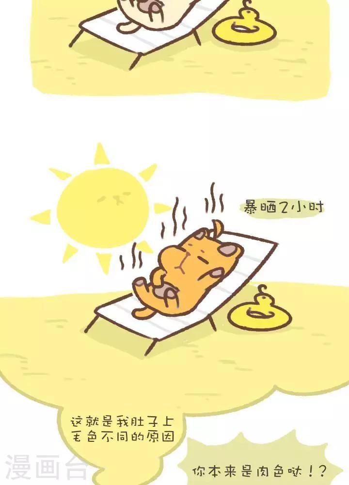 第一百零四话 造型