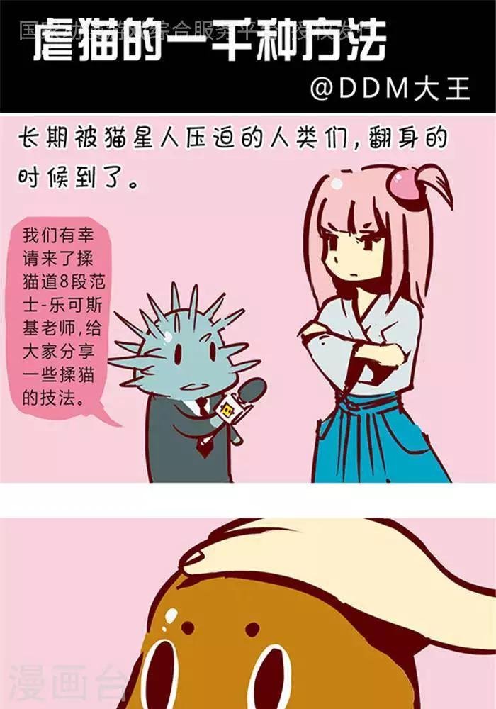 第129话 撸猫千法1