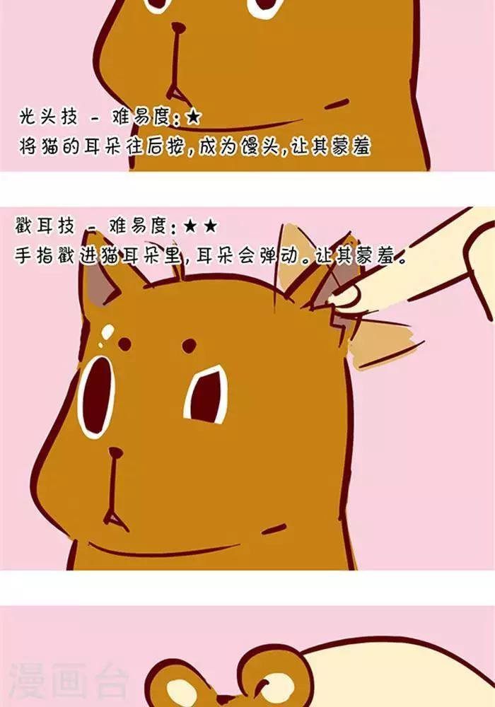 第129话 撸猫千法1