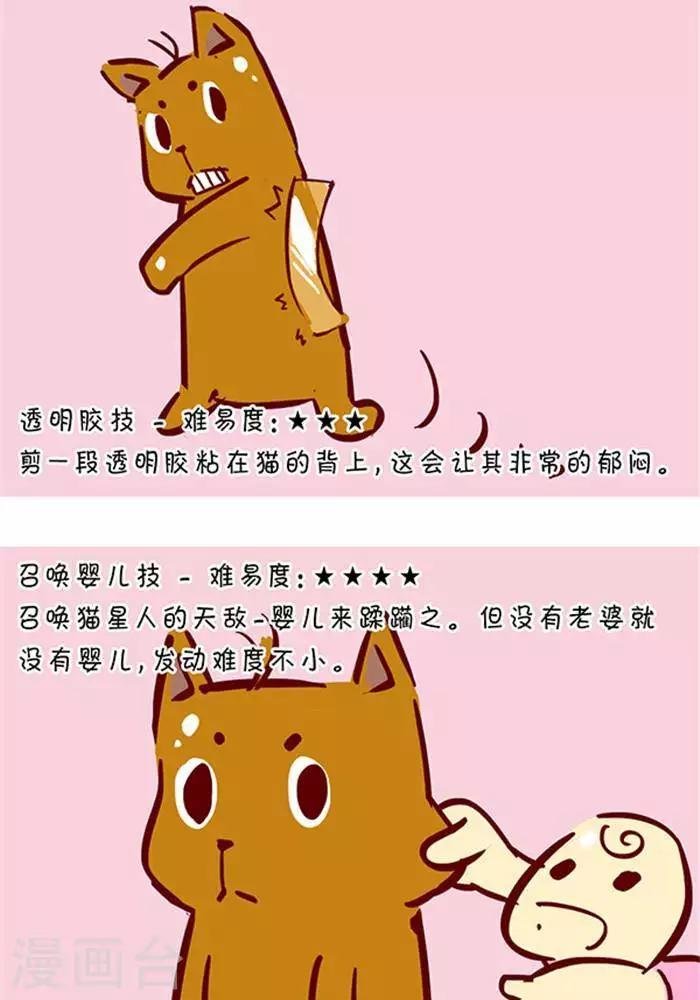 第129话 撸猫千法1