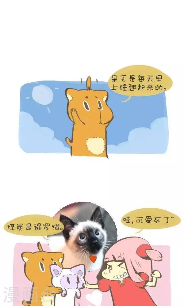 第八十二话 原型