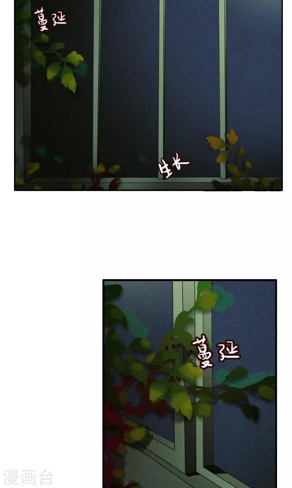 第38话 爬山虎