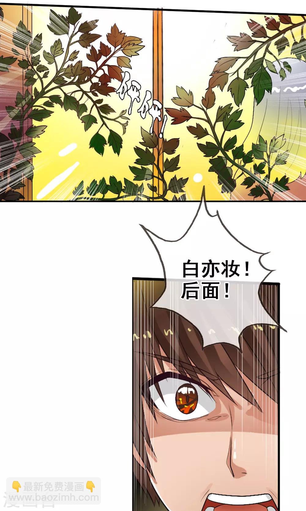 第38话 爬山虎