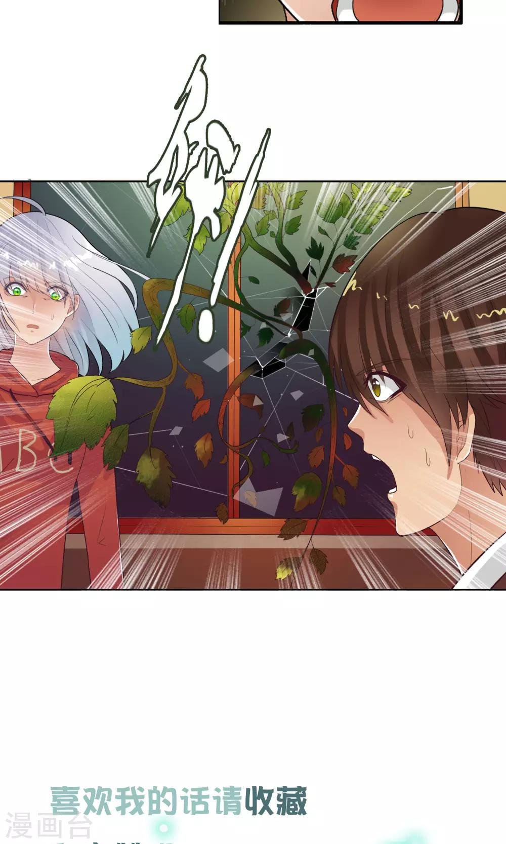第38话 爬山虎