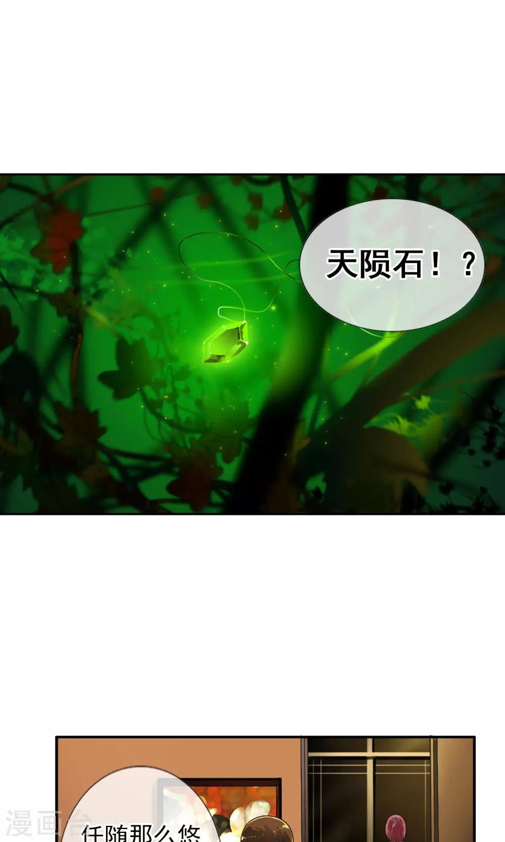 第41话 天陨石的来历